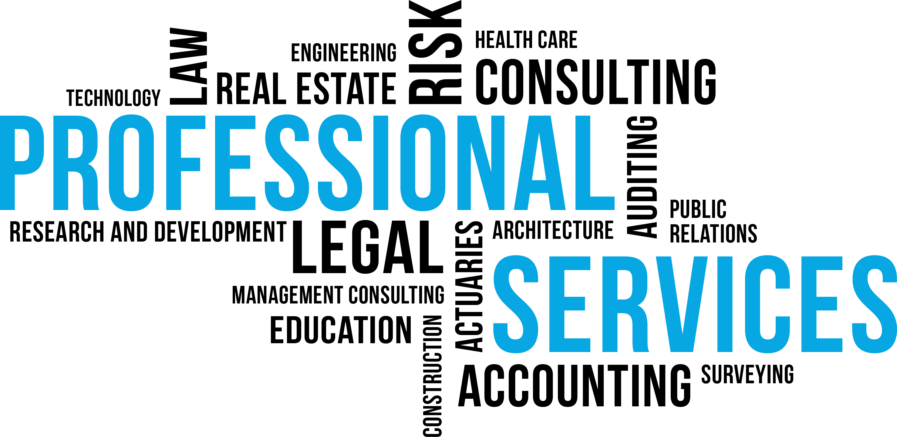 Professional Services